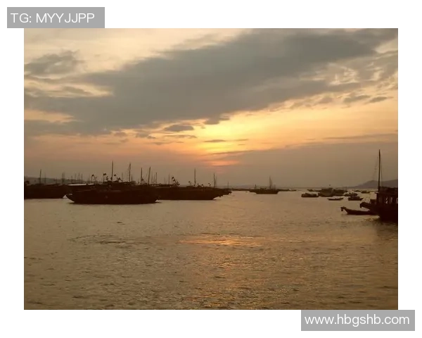 海防水泥与河内的竞争与合作：探索两地经济发展新机遇